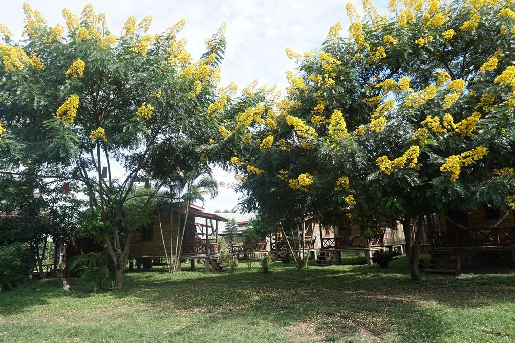 Hotel Family Hut Pai Extérieur photo